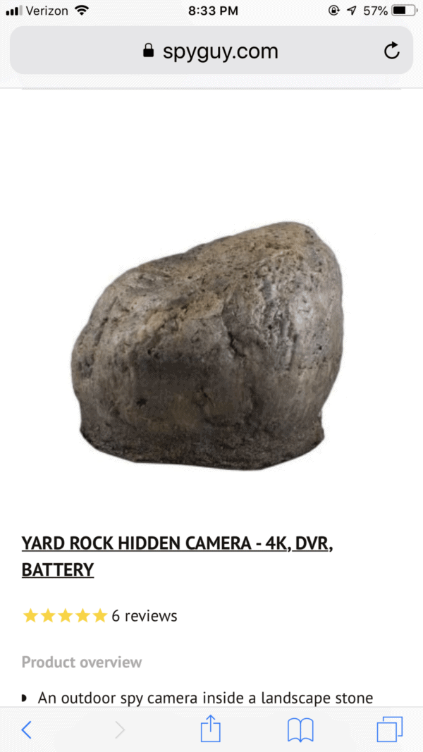 Landscape Rock Hidden Camera