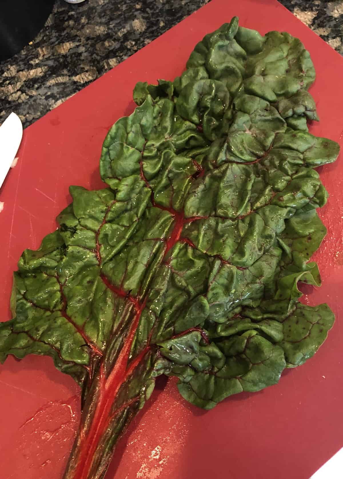 To show a picture of what Swiss Chard looks