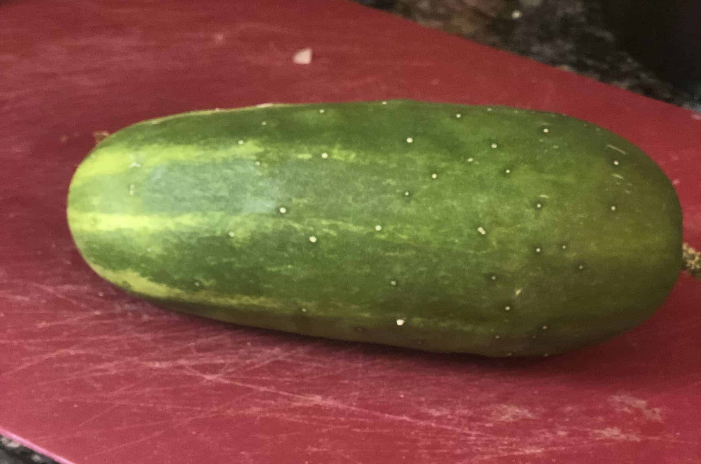 One whole cucumber on a maroon cutting board