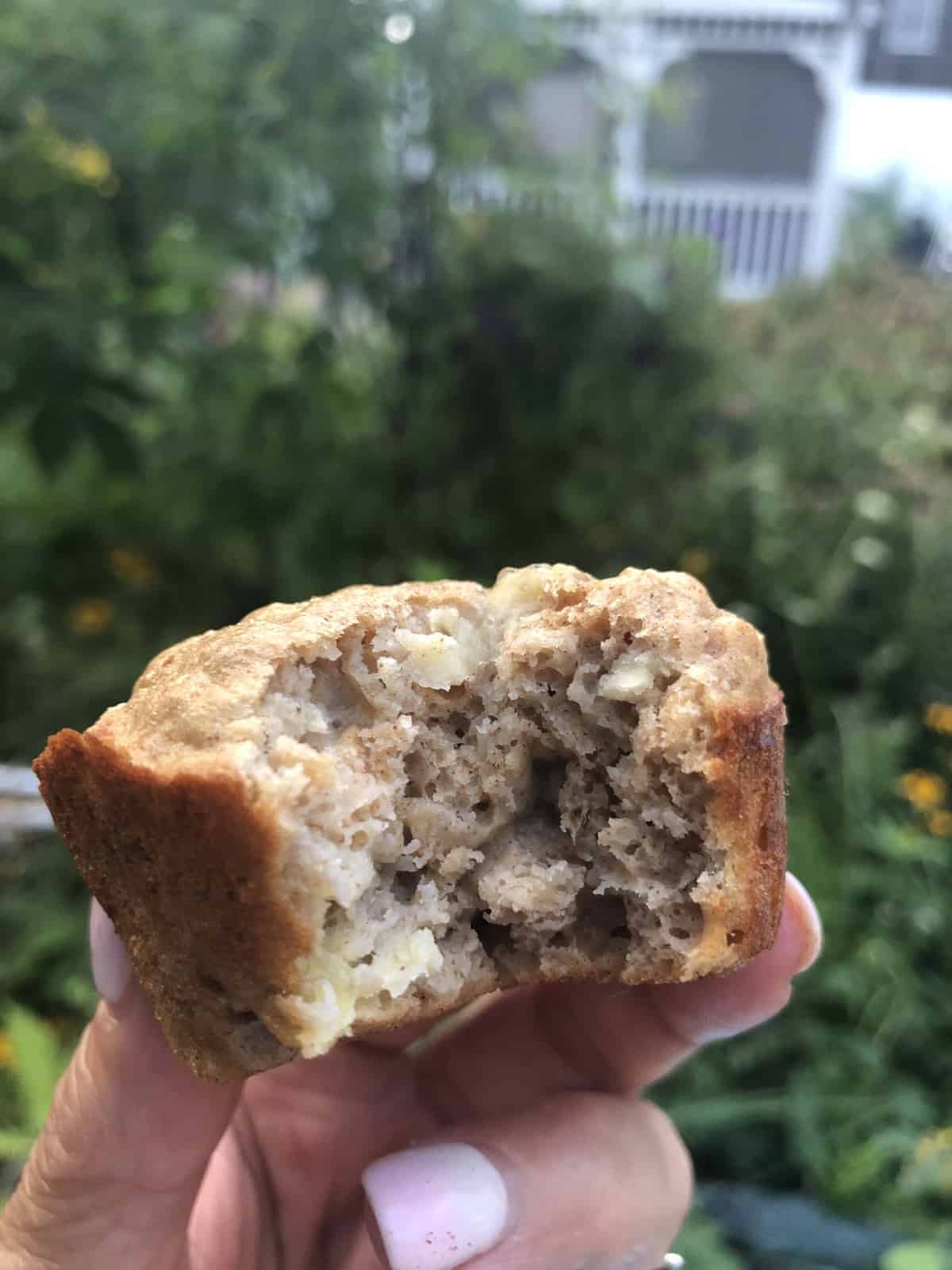 a bite of a cinnamon oat muffin