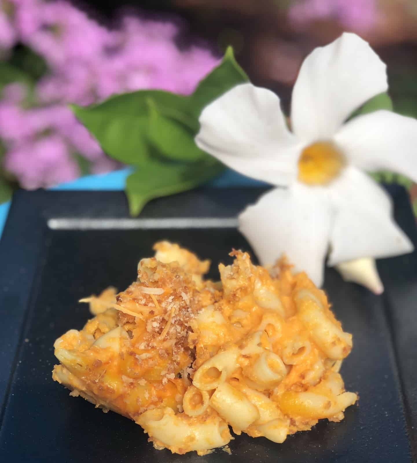 Macaroni and Cheese on a black plate  with a white flower