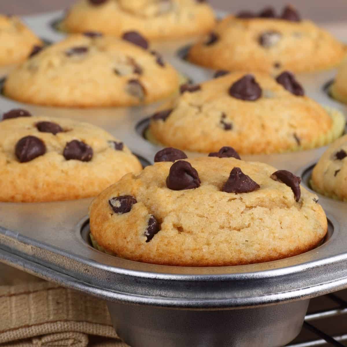 Six mini chocolate chip muffins in a muffin tin