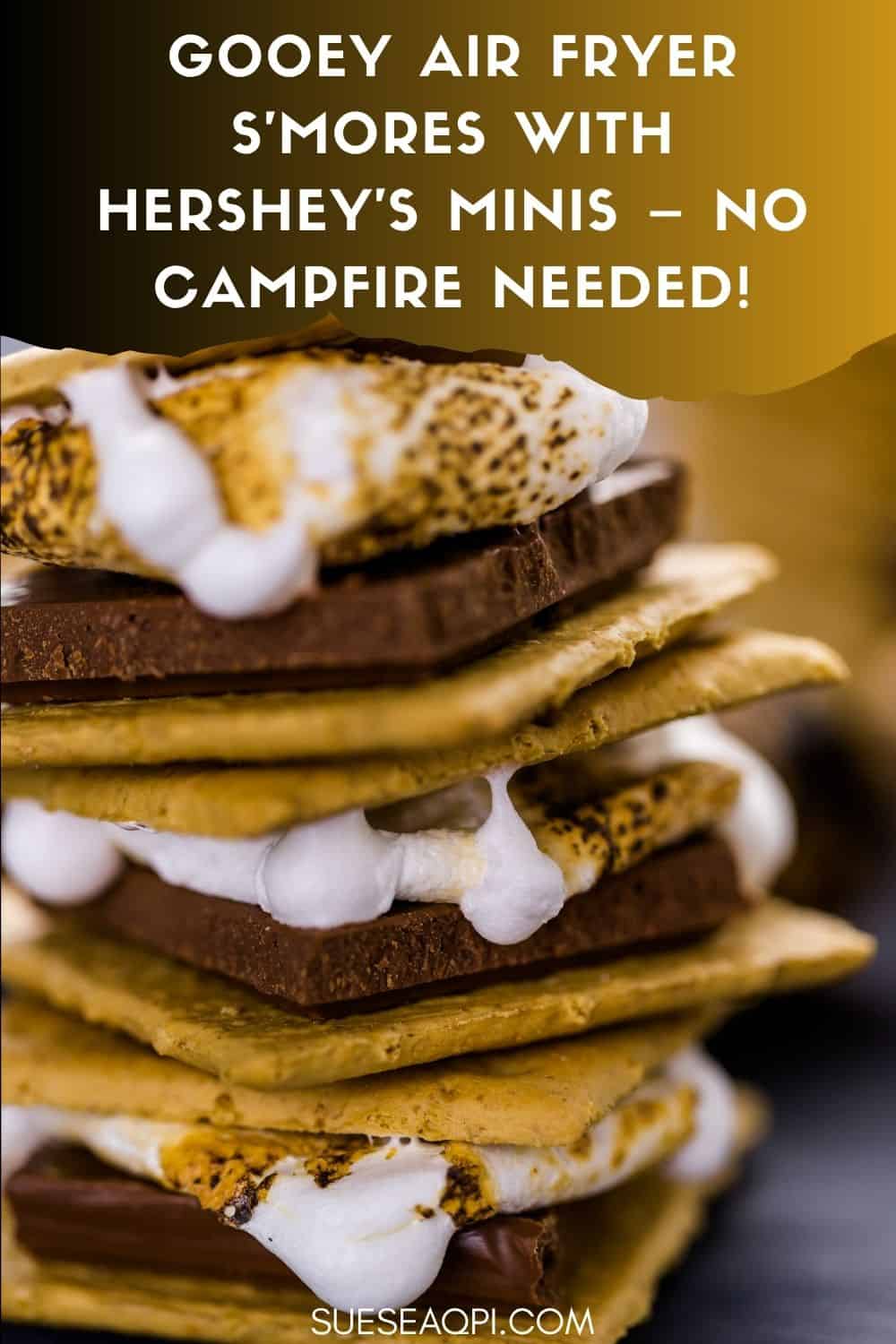 Gooey Air fryer smores