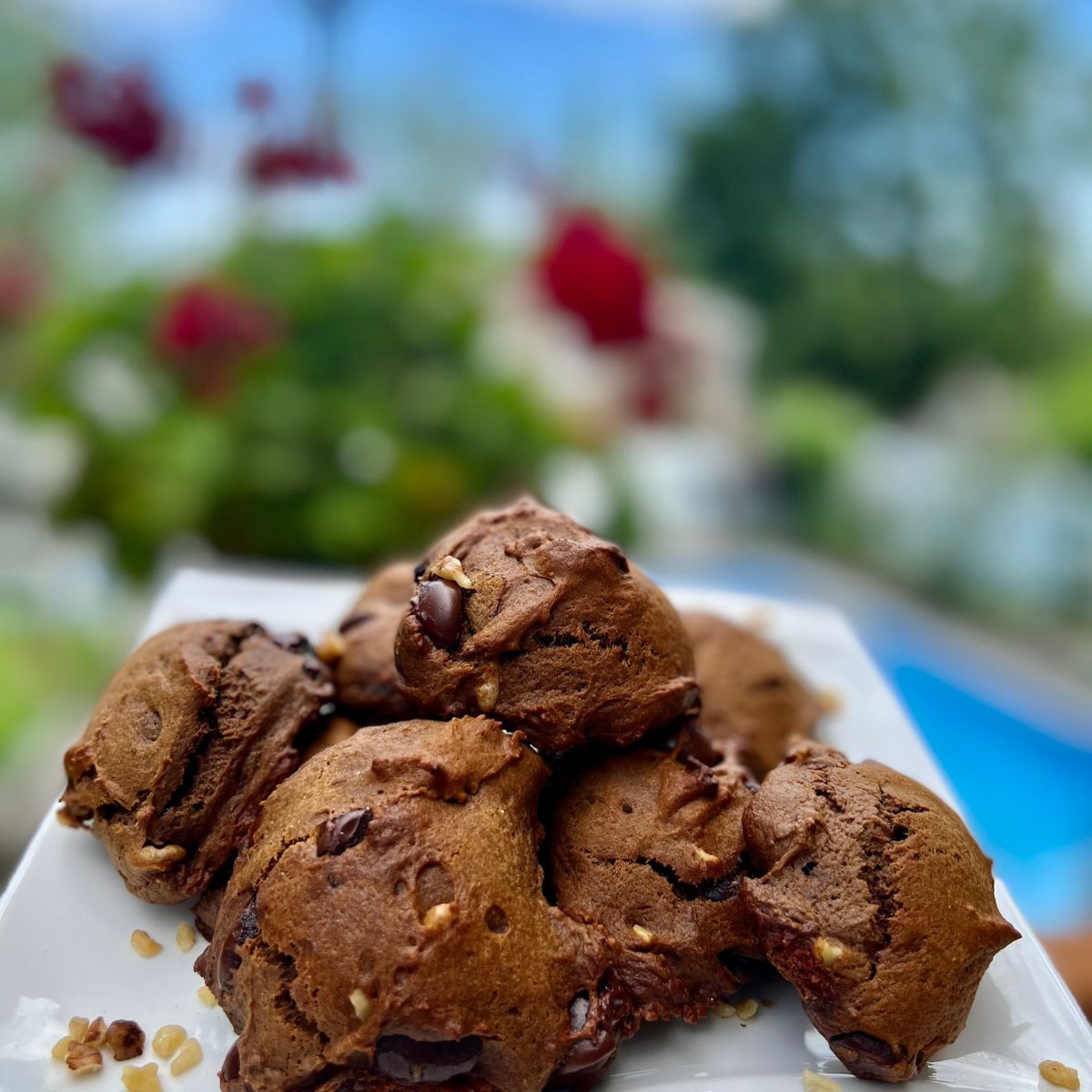 Eggless Double Chocolate Chip Cookies on a white plate in a garden