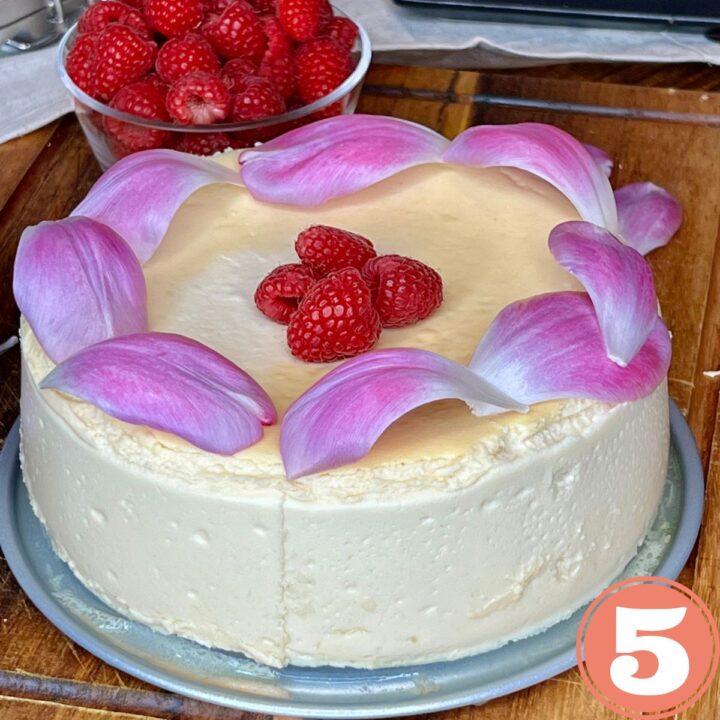 WW Crustless Vanilla Cheesecake with Cottage Cheese SueSeaQPI