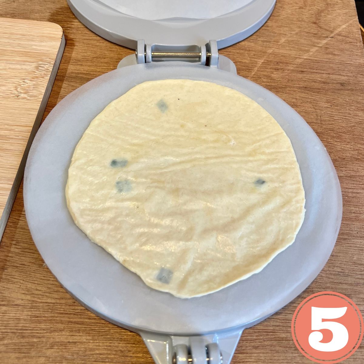 Tortilla dough flattened in a round tortilla press
