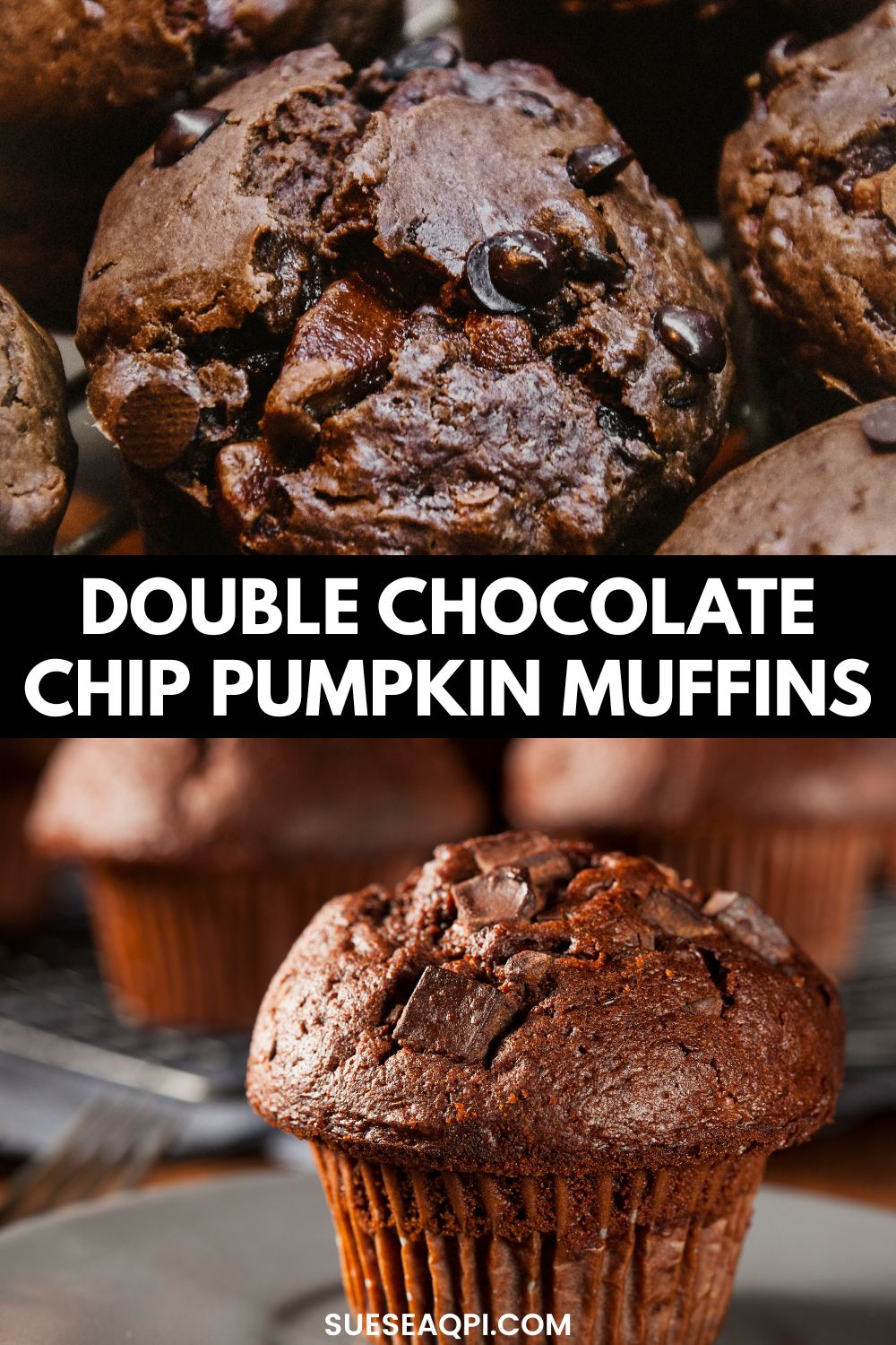 Chocolate Chip Pumpkin muffins