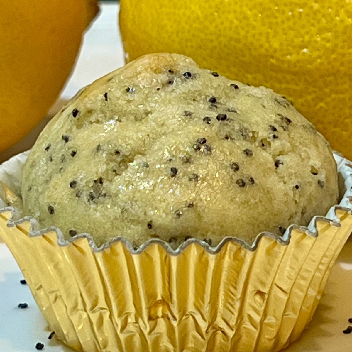 Mini lemon poppy seed muffin with lemons