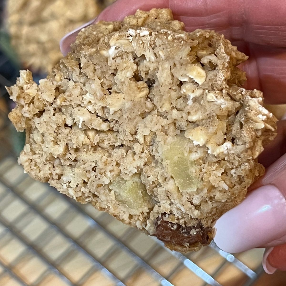 A hand holding a slice of an Oatmeal Raisin Muffin