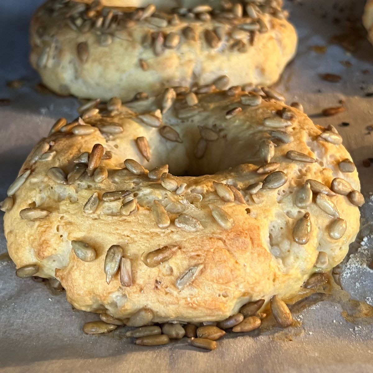 Golden Brown cottage cheese bagels with sunflower seeds