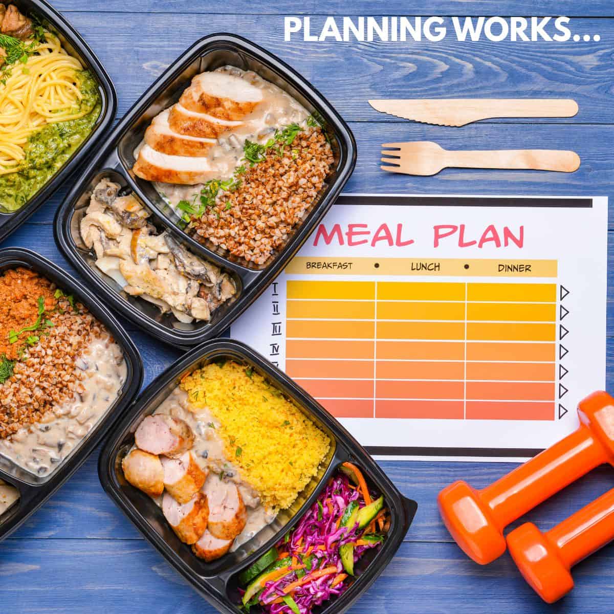 A meal planner with 3 prepared meals