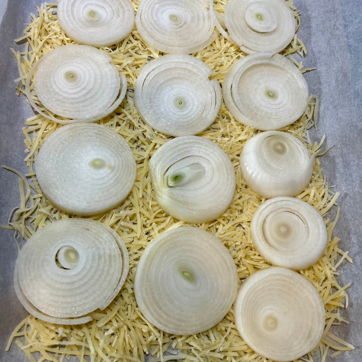 White onion rings on a layer of parmesan cheese
