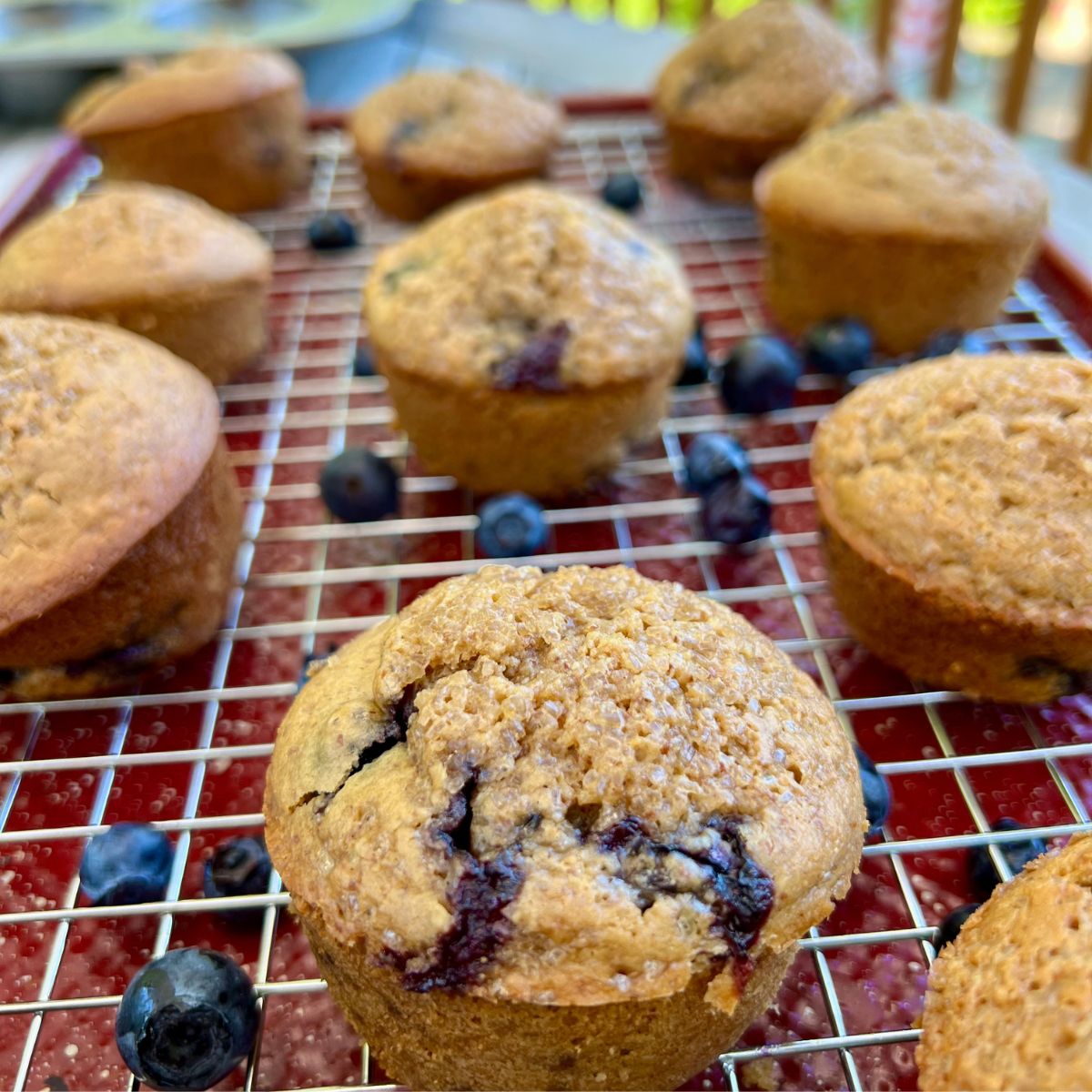 Gluten Free Blueberry Muffins on a wire rack