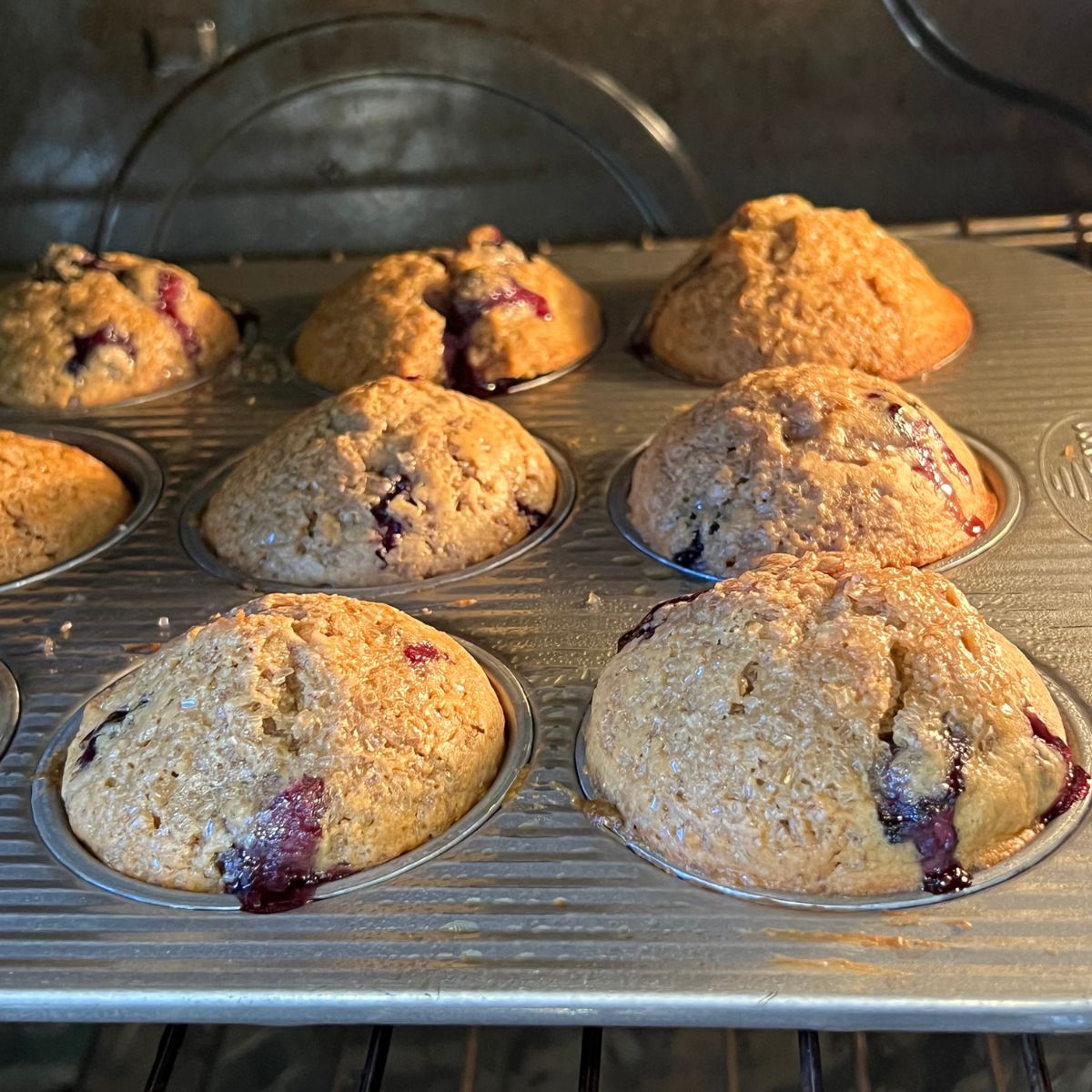 Baking to die for blueberry muffins in the oven