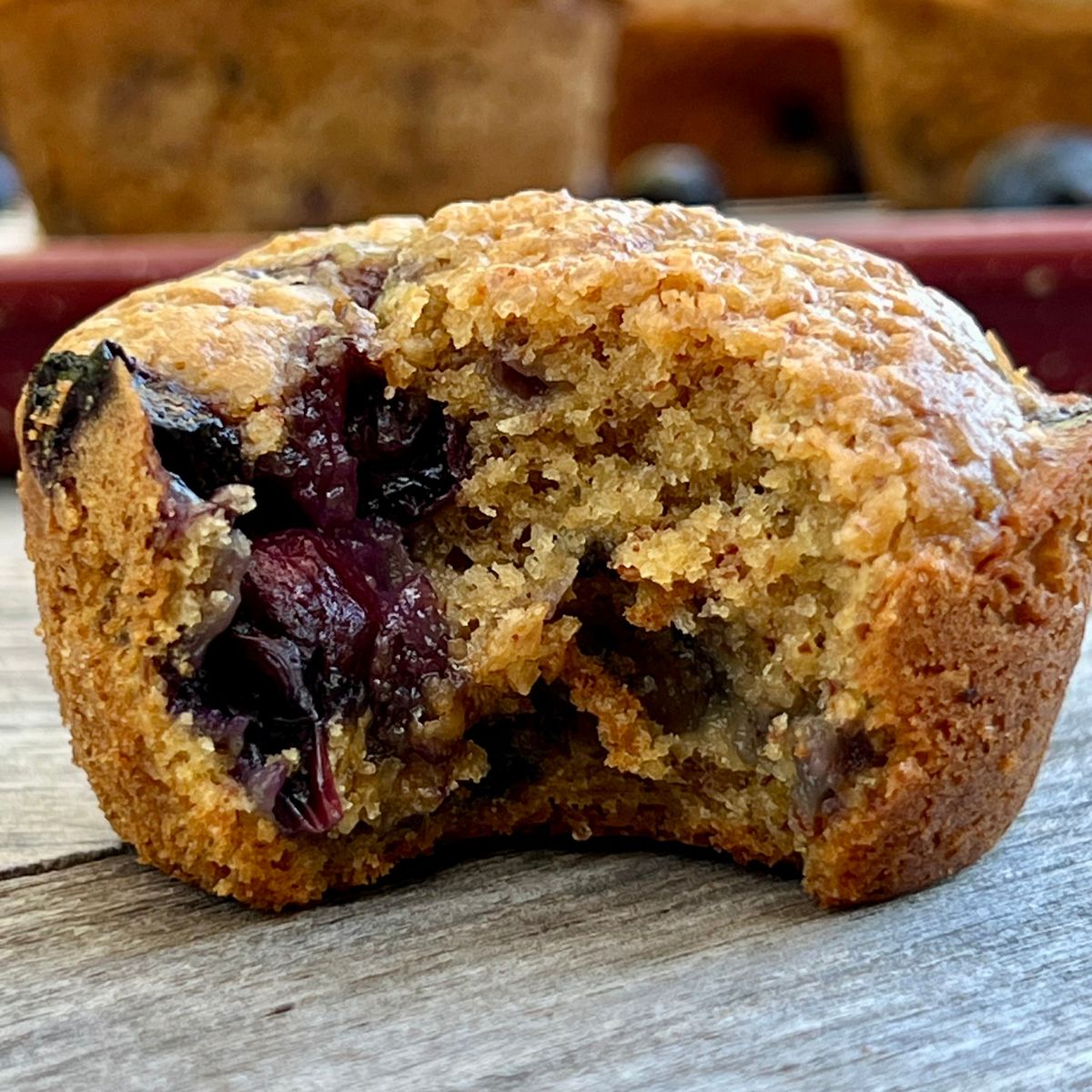 A gluten free blueberry muffin with a bite taken out of it