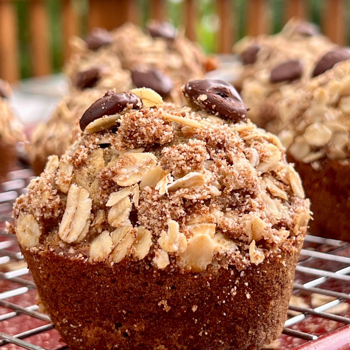 Chocolate Chip Banana Zucchini Muffins cooling on a wire rack