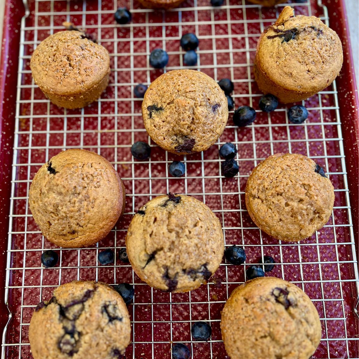 Healthy gluten free to doe for blueberry muffins cooling on a wire rack