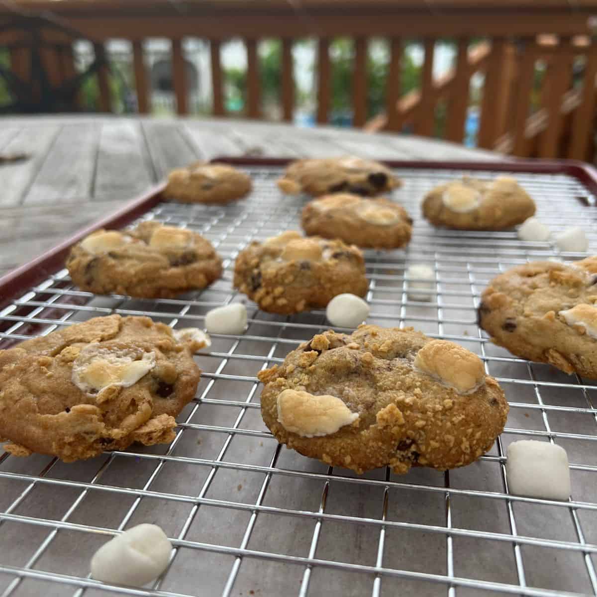 Campfire smores marshmallow graham cracker chocolate chip cookies on a wire rack