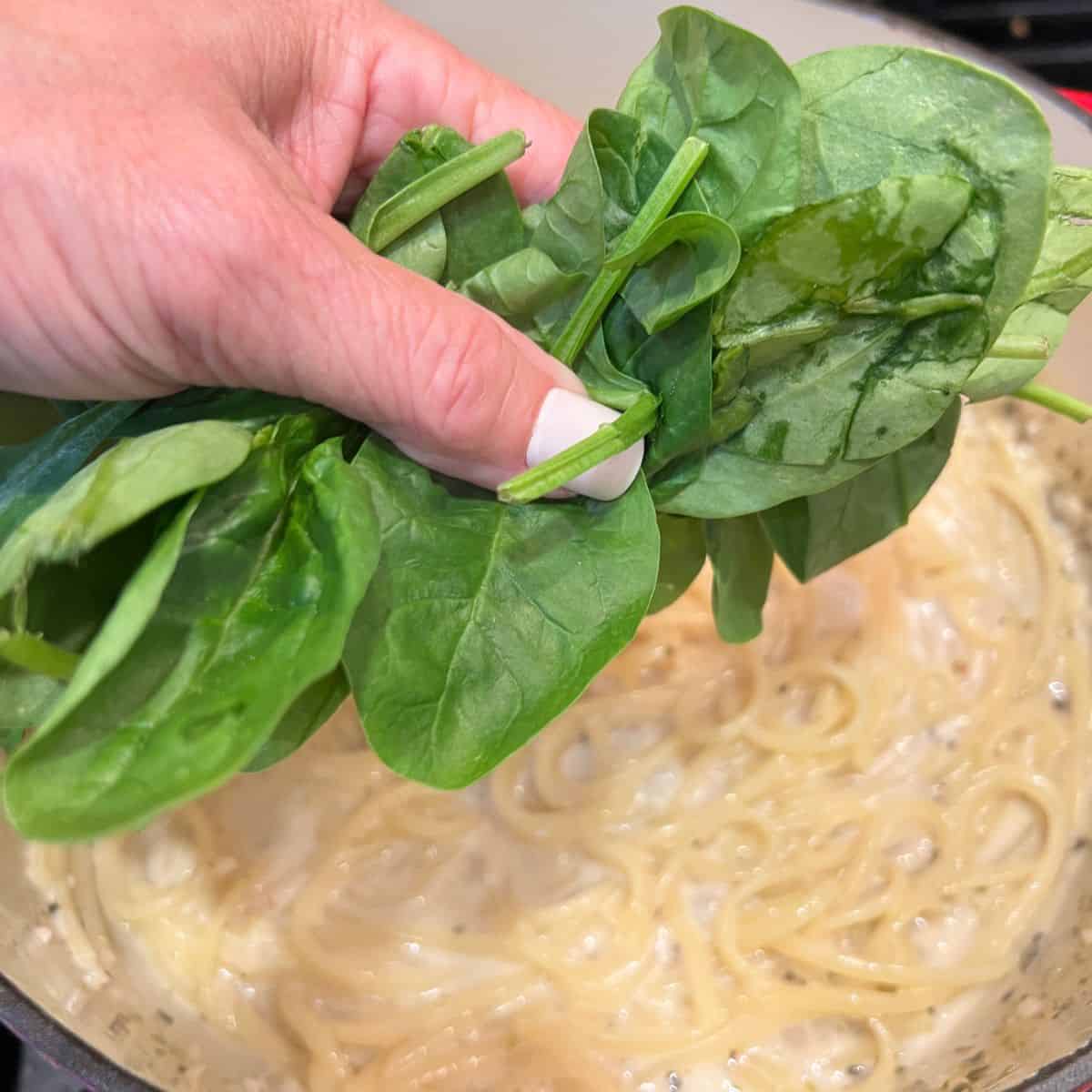 A handful of spinach being added to the one pot creamy garlic pasta
