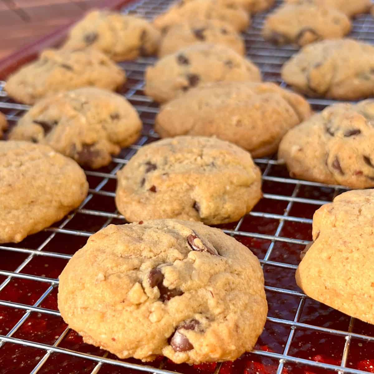 Good Housekeeping Retro Chocolate Chips cookies with nuts on a cooling rack