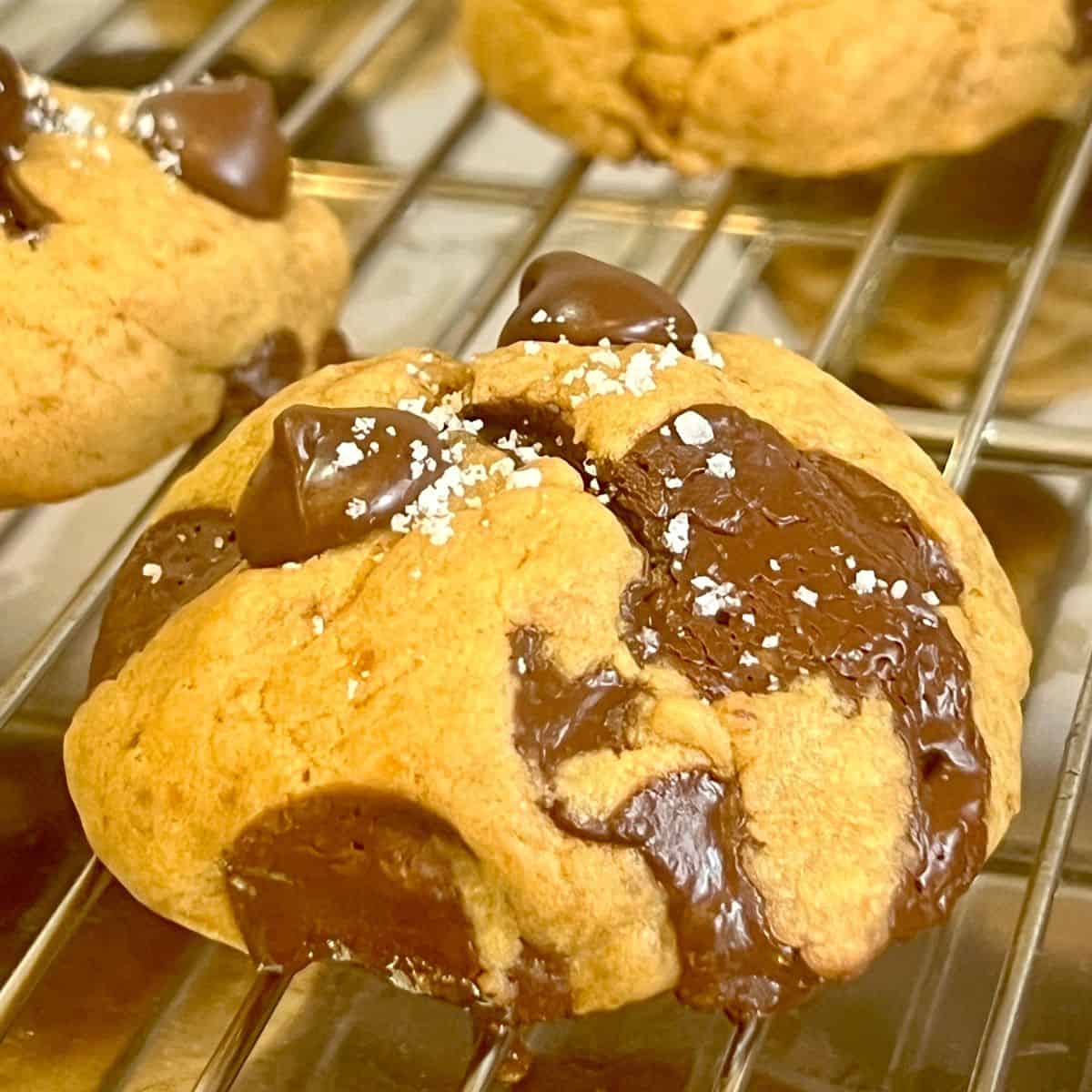 Soft & Chewy Chocolate Chip Cookies without brown sugar