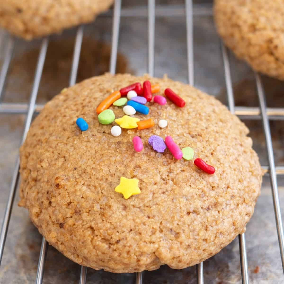 Healthy Coconut sugar cookie with sprinkles