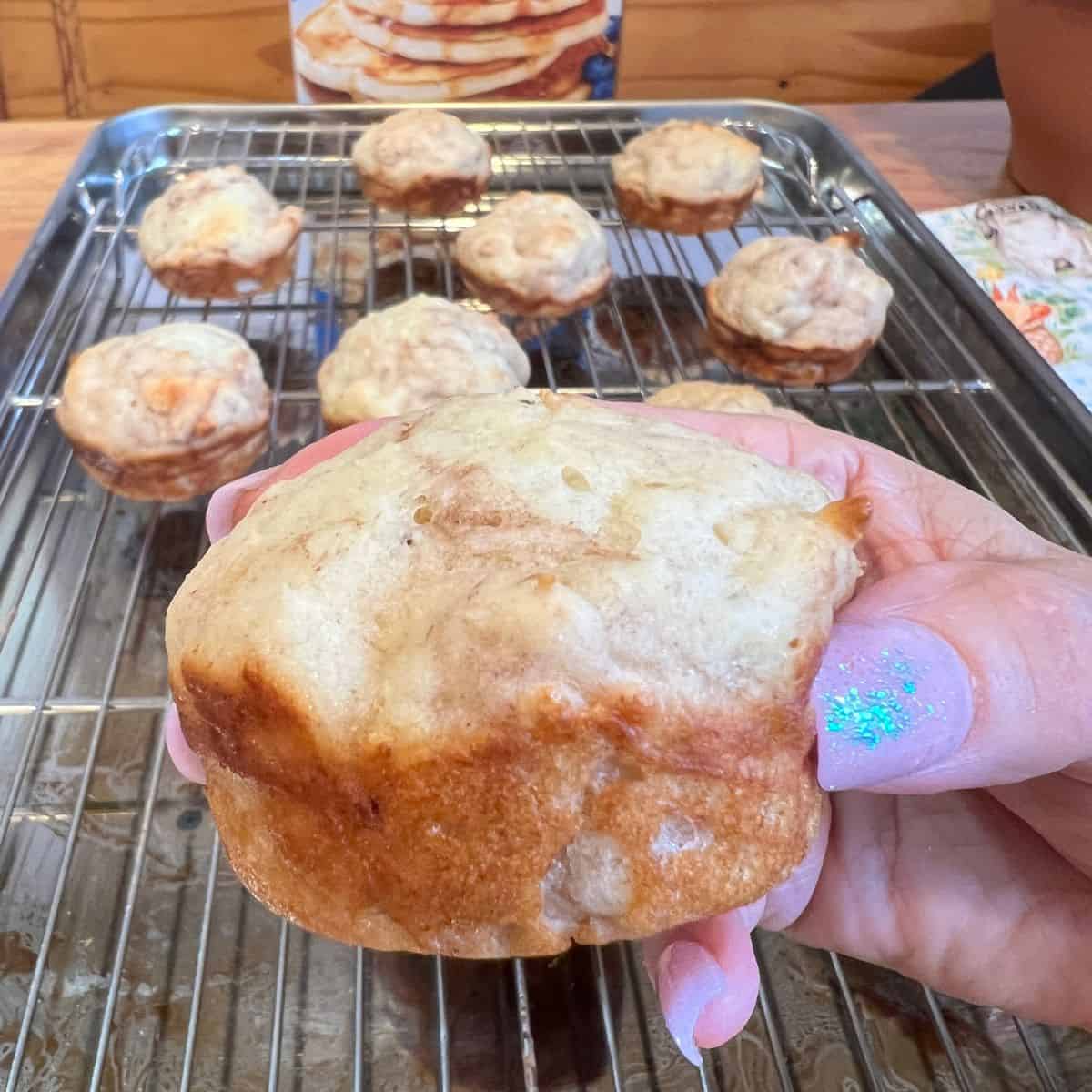 hand holding banana cottage cheese muffin over muffin pan with baked protein muffins ready to serve