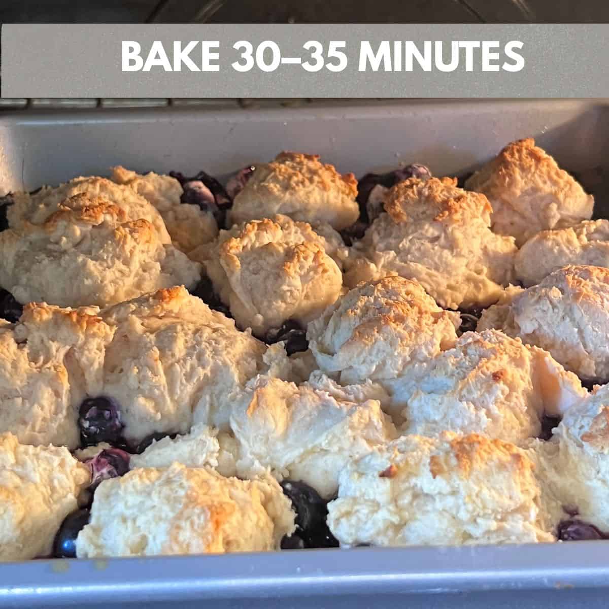 Easy blueberry cobbler baking in the oven with a golden brown topping and juicy blueberries bubbling around the edges.